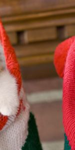 Animals,Pair,Spotted,Holiday,Hang,Sock,Christmas,Kittens,Couple