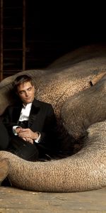 Robert Pattinson,Animaux,Personnes,Elephants,Hommes,Acteurs,Cinéma