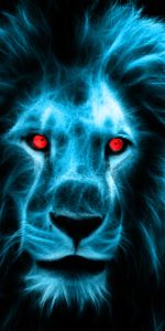 Animals,Predator,Big Cat,Mane,Lion,Eyes