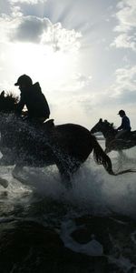 Animals,Riders,Sea,Spray,Horses