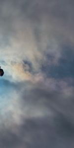 Animals,Sky,Clouds,Bird,Flight,Wings,Eagle