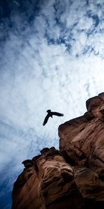 Animals,Sky,Clouds,Rock,Bird