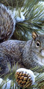 Animals,Squirrel