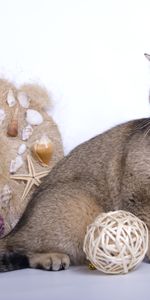 Animals,Toys,Wreath,Wool,Cat