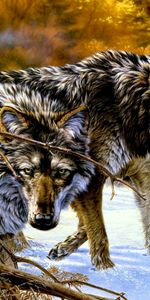 Animals,Wolfs