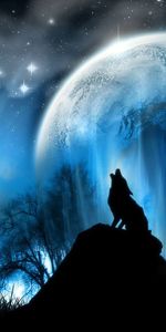 Animaux,Loups