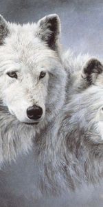 Animals,Wolfs