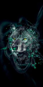 Animals,Wolfs,Background,Art