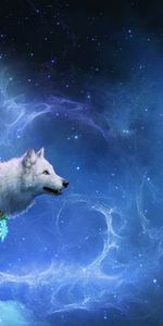 Animals,Wolfs,Fantasy