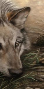 Dessins,Animaux,Loups