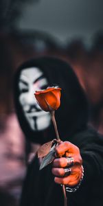 Anonymous,Mask,Rose Flower,Miscellanea,Rose,Miscellaneous,Hood,Flower