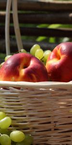 Apples,Basket,Food,Grapes,Harvest