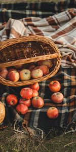 Apples,Miscellanea,Basket,Autumn,Miscellaneous,Fruits