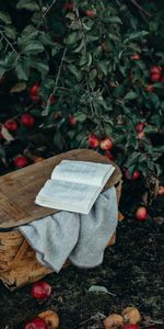 Récolter,Panier,La Moisson,Pommes,Divers,Livre