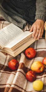 Apples,Miscellanea,Miscellaneous,Rest,Plaid,Hand,Book,Relaxation