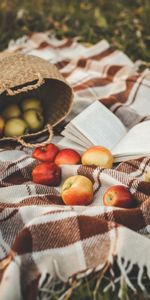 Apples,Miscellaneous,Basket,Plaid,Miscellanea,Book