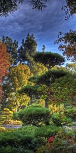 Arboretum,Nature,Trees,Garden,Assorted,China