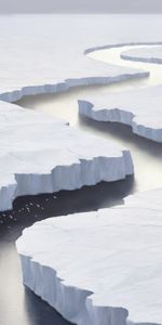 Art,Bird,Ice Floes,Ice,Ship