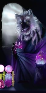 Art,Crystals,Alchemist,Wolf,Magic