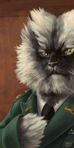 Duveteux,Pelucheux,Veste,Manteau,Chat,Art,Militaire