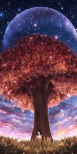 Art,Glare,Tree,Universe,Wood,Girl