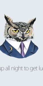 Art,Owl,Inspiration,Vector