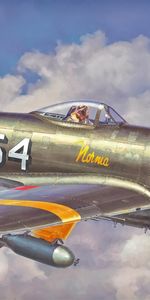 Art,P 47 Thunderbolt,Hasegawa,Fighter,Airplane,Plane