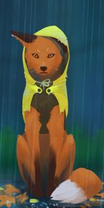 Art,Raincoat,Fox,Rain,Hood