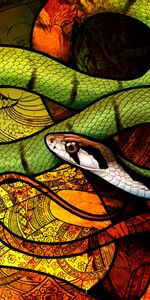 Art,Reptile,Snake,Pattern