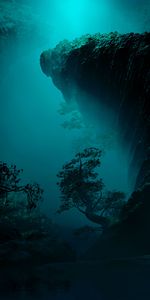 Las Rocas,Rocas,Madera,Cueva,Stones,Oscuro,Árbol,Arte