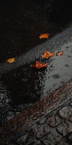 Asphalt,Puddle,Foliage,Nature,Wet,Rain