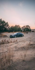 Audi,Trees,Cars,Car,Sand