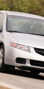 Auto,Acura,Cars,Asphalt,Front View,Speed,Style,Akura,Silver Metallic,2003,Tsx,Trees