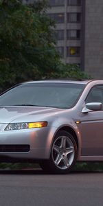 Auto,Acura,Cars,Building,Wood,Tree,Asphalt,Side View,Style,Akura,Tl,2004,Silver Metallic