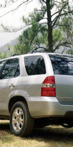 Auto,Acura,Jeep,Back View,Rear View,Silver Metallic,Mdx,Nature,Forest,Cars