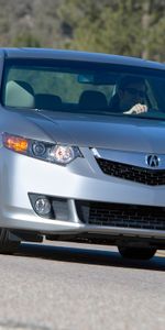 Auto,Acura,Wood,Tree,Asphalt,Style,Akura,2008,Metallic Gray,Grey Metallic,Tsx,Nature,Cars,Front View