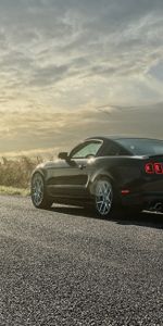 Auto,Cars,Shine,Rear View,Gt,Light,Back View,Road,Mustang