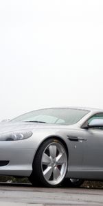 Style,2007,Argent Métallique,Argent Métallisé,Db9,Vue De Côté,Arbustes,Voitures,Arbres,Aston Martin,Sport