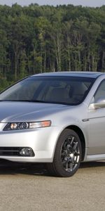 Auto,Grass,Acura,Cars,Front View,Style,Akura,Shrubs,Tl,2007,Silver Metallic,Forest