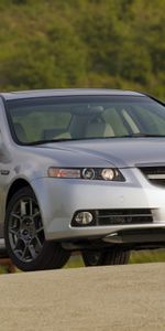 Auto,Grass,Acura,Cars,Front View,Style,Akura,Shrubs,Tl,2007,Silver Metallic,Nature