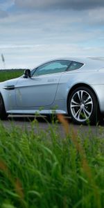 Auto,Grass,Aston Martin,Cars,2009,Silver Metallic,V12,Zagato,Sports,Side View