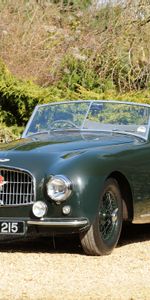 Auto,Grass,Aston Martin,Cars,Front View,Style,Shrubs,1952,Retro