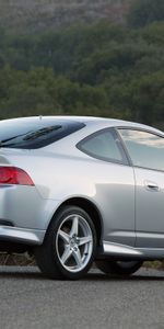 Auto,Nature,Acura,Side View,Style,Rsx,Silver Metallic,Forest,Cars