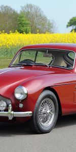 Auto,Nature,Flowers,Trees,Cars,Asphalt,Field,Side View,Style,1958,Aston Martin,Retro