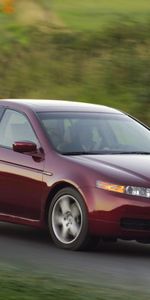 Auto,Nature,Grass,Acura,Cars,Side View,Speed,Style,Akura,Tl,2004