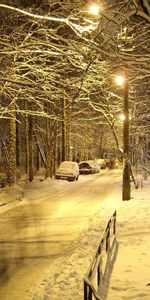 Automóvil,Naturaleza,Noche,Ciudad,Parque,Linternas,Luces,El Parque