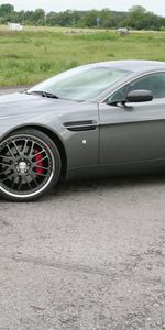 Vantage,V8,Тачки (Cars),2005,Вид Сбоку,Природа,Астон Мартин (Aston Martin),Серый,Машины