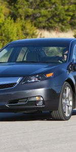 Auto,Nature,Trees,Acura,Asphalt,Style,Tl,2011,Front View,Cars