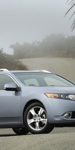 Auto,Nature,Trees,Acura,Cars,Side View,Style,Akura,Shrubs,2010,Tsx