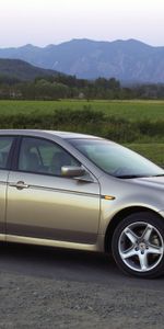 Auto,Nature,Trees,Mountains,Acura,Side View,Style,Akura,Shrubs,Tl,2004,Beige Metallic,Grass,Cars